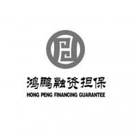 河池市鴻鵬融資性擔保有限責任公司 助力企業與經濟發展的融資橋梁