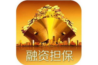 融資性擔(dān)保公司牌照申請條件