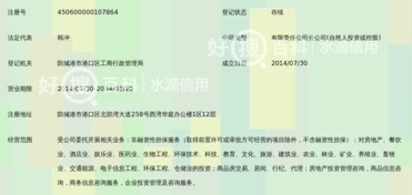 廣西和信高盛非融資性擔保有限公司防城港分公司 聚焦非融資性擔保，服務地方經濟